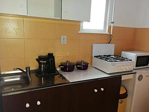Kuchyň nebo kuchyňský kout v ubytování Casa Șallai