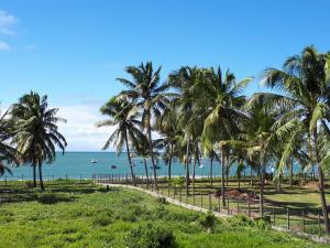 a row of palm trees on a beach with the ocean at Vila das Flores ( vilage) in Itacimirim
