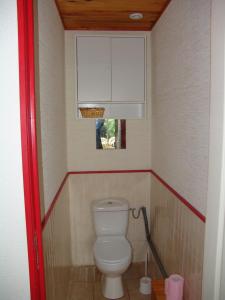 ein Bad mit einem WC und einem Schrank darüber in der Unterkunft Les Petits Prés in Vitrac