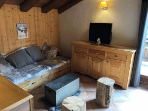 - un salon avec un canapé et une télévision sur un bureau dans l'établissement Appartement Du Dou Des Ponts, à Pralognan-la-Vanoise