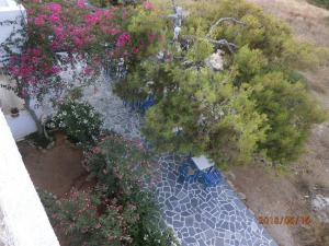 Giardino di Hotel Flisvos