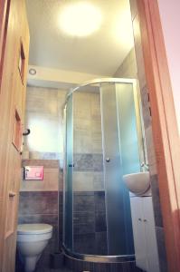 a bathroom with a shower with a toilet and a sink at Dom pri potoku in Zuberec