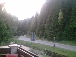 Gallery image of Hotel Victoria in Borşa