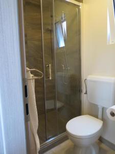 パコシュタネにあるCampsite Kayaのバスルーム(トイレ、ガラス張りのシャワー付)