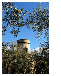 a tall building with a tree in front of it at Villa il Turro in Massa Lubrense