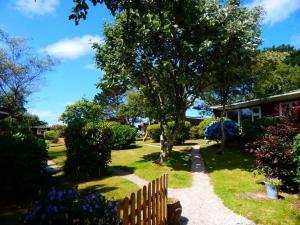 a garden with a wooden fence and a tree at Mount Hawke Holiday Bungalows in Porthtowan
