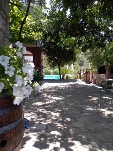 una entrada con flores blancas en una pared de ladrillo en Apartments Villa Čučuk, en Budva