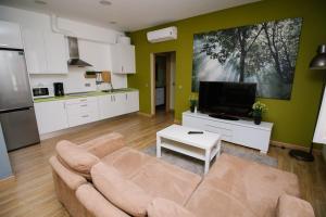 a living room with a couch and a tv at Apartamento Deluxe in Zamora