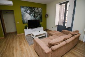 uma sala de estar com um sofá e uma televisão de ecrã plano em Apartamento Deluxe em Zamora