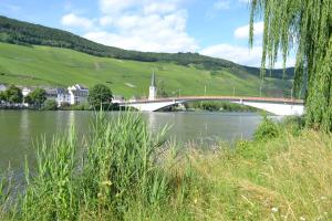 uma ponte sobre um rio com uma cidade e colinas verdes em Ferienwohnungen Haus Dienhart em Piesport