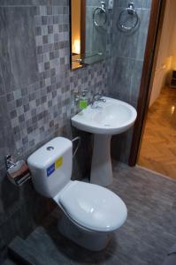 a bathroom with a toilet and a sink at Guest House Dimitrije in Niška Banja
