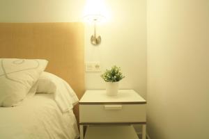una mesita de noche con una planta junto a una cama en Zuhaizti Apartment, en San Sebastián