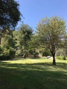 Fotografie z fotogalerie ubytování Oasis Olympia Apartments v destinaci Smíla