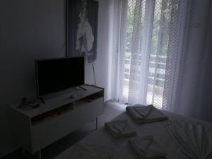 a living room with a flat screen tv and a window at Mario's Apartment in Neos Marmaras