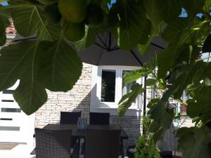 Zahrada ubytování Apartman Mandi