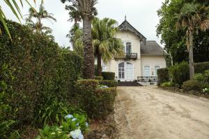 Biały dom z palmami i polną drogą w obiekcie Cantinho do Solar w mieście Vila Franca do Campo