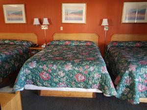 Postel nebo postele na pokoji v ubytování Townhouse Motel
