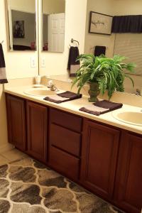 La salle de bains est pourvue d'un lavabo et d'une plante en pot sur le comptoir. dans l'établissement Key 2 Indian Creek Pool Home, à Kissimmee