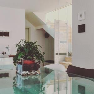 a room with a glass table and a potted plant at Largo Fileni 7 in San Benedetto del Tronto