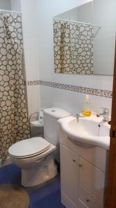 La salle de bains est pourvue de toilettes et d'un lavabo. dans l'établissement Ático luminoso en O Rosal, à Rosal