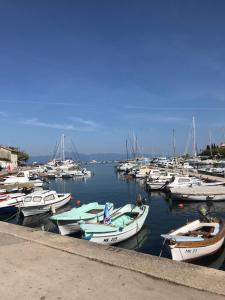 a bunch of boats are docked in a harbor at Apartments Papalinna in Malinska