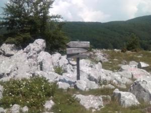 Příroda nedaleko apartmánu