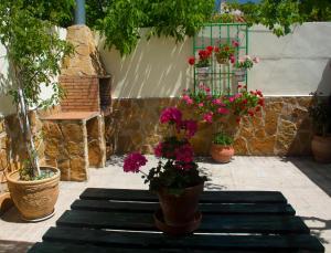 eine Terrasse mit Topfpflanzen und Blumen auf einer Bank in der Unterkunft Casa Rural Maria Belen in Ruidera