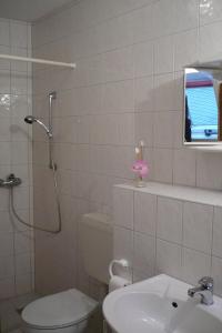 a bathroom with a toilet and a sink at Gaststätte & Pension Jiedlitz in Burkau