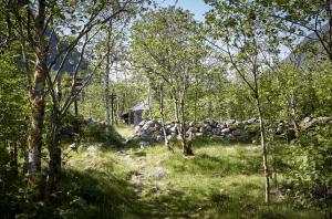 un montón de rocas en un campo con árboles en Hardanger Basecamp, en Osa i Hardanger