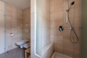 a bathroom with a shower and a toilet at Rožna Dolina Apartment in Ljubljana