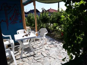 Imagen de la galería de Danube Delta Hostel Homestay & Camping, en Sulina