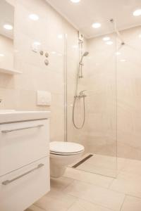 Apartments Majić的一间浴室