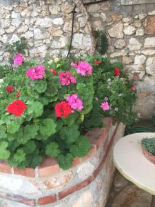 a brick planter with pink flowers and green plants at Stefanel View-Frederika in Himare