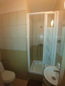 a bathroom with a shower and a toilet and a sink at Chata z bali Bukowina in Wetlina