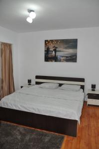 una camera da letto con un letto e un dipinto sul muro di Mario Apartments a Reşiţa