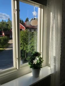 Taman di luar Helsingegården