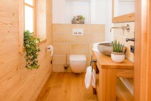 a bathroom with a toilet and a sink at Das Wistlberg Wohlfühlchalet in Mauth