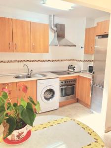 cocina con fogones, fregadero y lavavajillas en Jazmín Apartamentos Centro, en Málaga 9 fotos más