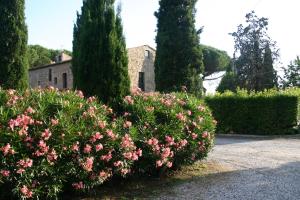 A garden outside Casaleaurelia