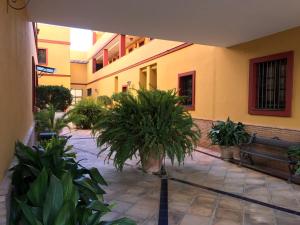 a courtyard with potted plants and a bench in a building at CLB Apartamento Alameda in Seville