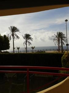 Blick auf einen Strand mit Palmen und das Meer in der Unterkunft Apartamento Frente Al Mar in Villajoyosa