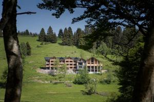 uma casa grande numa colina num campo em Black Forest Lodge em Feldberg