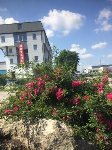 a pile of pink flowers on a rock in front of a building at Autopark Hotel in Lviv