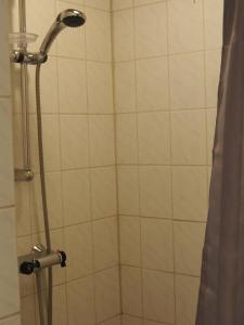 y baño con ducha con cabezal de ducha. en Labaek B&B en Holbæk