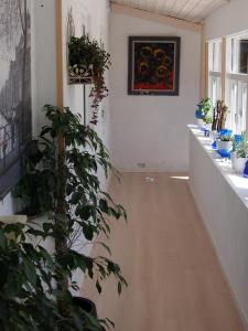 Fotografie z fotogalerie ubytování Labaek B&B v destinaci Holbaek
