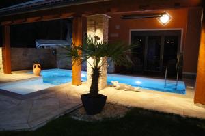 a cat laying next to a swimming pool at night at Passau "Am Sulzsteg" 9 in Passau