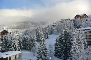 Hotel Relais Des Alpes v zimě
