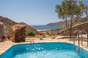 a swimming pool with a view of the ocean at Theologos Houses in Grikos