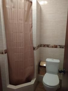 ノヴォロシースクにあるEkaterinaのバスルーム(トイレ、シャワー付)