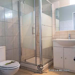 a bathroom with a shower and a toilet and a sink at Gîte La mélodie in Longueville